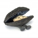 Peluche Amuseable Michelle la Moule - Jellycat