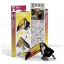 Eugy puzzle Toucan 3D en carton