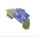 Pince à cheveux Hortensia - Coucou Suzette