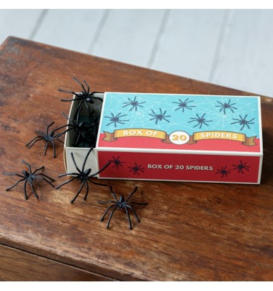 Boîte de 20 araignées en plastique - Rex london