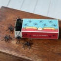 Boîte de 20 araignées en plastique - Rex london