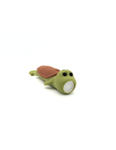 Lampe torche Tortue - Little L