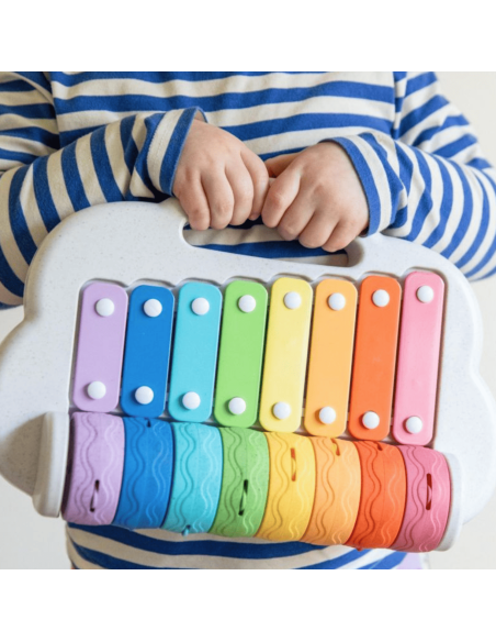 Xylophone à rouleaux - Tiger Tribe