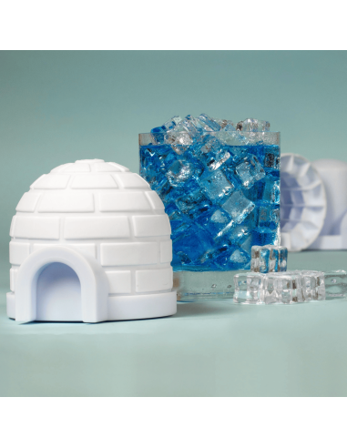 Igloo pour glaçons - Kikkerland