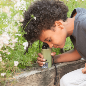 Microscope Huckelberry - Kikkerland 2