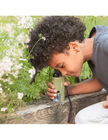Microscope Huckelberry - Kikkerland