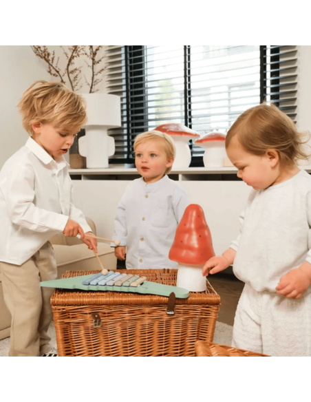 Lampe Veilleuse champignon Brique (S) - Egmont Toys