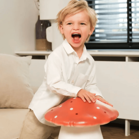 Lampe Veilleuse champignon brique (L) - Egmont toys 2