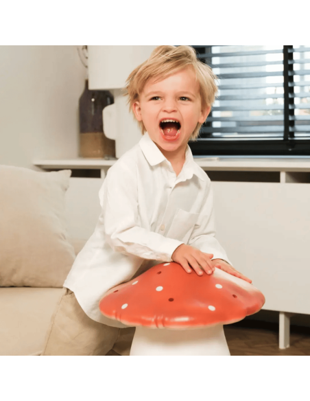 Lampe Veilleuse champignon brique (L) - Egmont toys