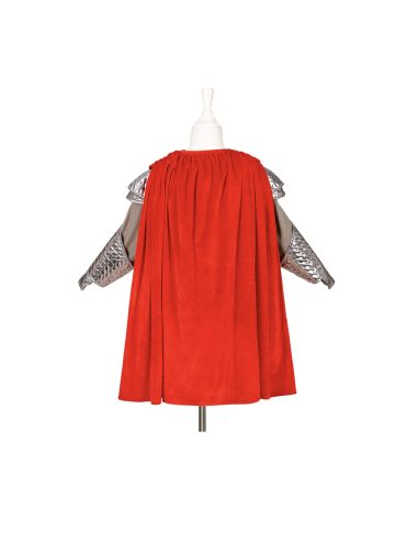 Déguisement Roi Arthur - Souza