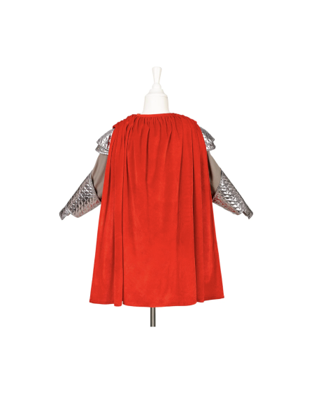 Déguisement Roi Arthur - Souza