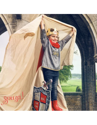 Déguisement Roi Arthur - Souza