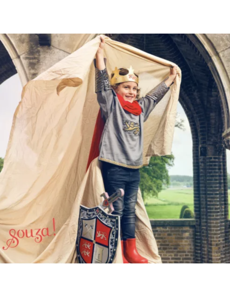 Déguisement Roi Arthur - Souza