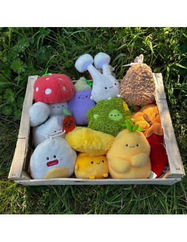 Peluche Citrouille - Bazuuyu