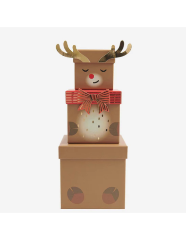 Set de 3 boîtes cadeaux Renne - Rico Design