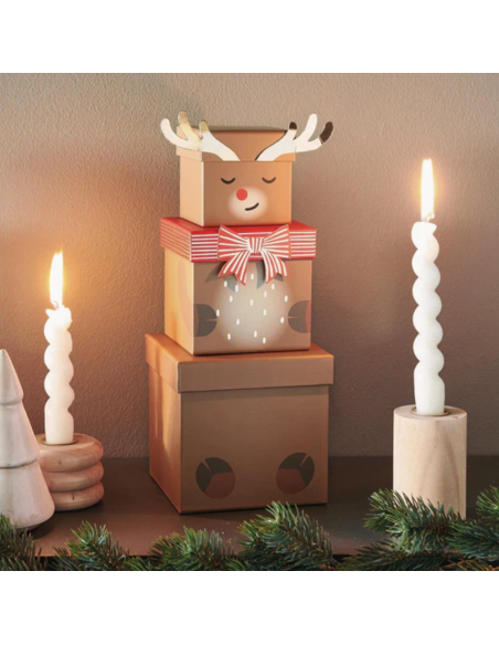 Set de 3 boîtes cadeaux Renne - Rico Design