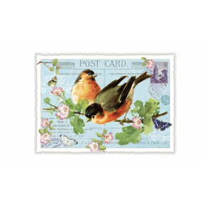 Carte postale Bouvreuils - Acte tre