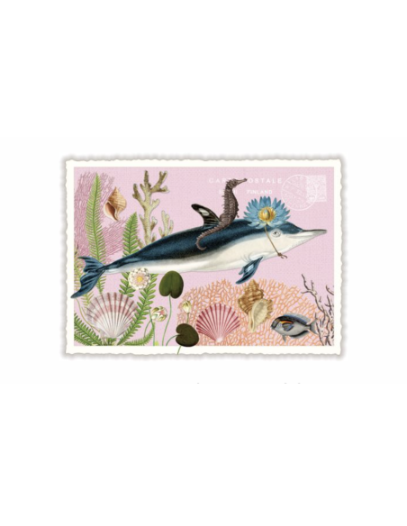 Carte postale Dauphin - Acte tre