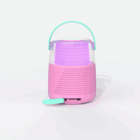Enceinte et Karaoké Rose - Mobility On Board