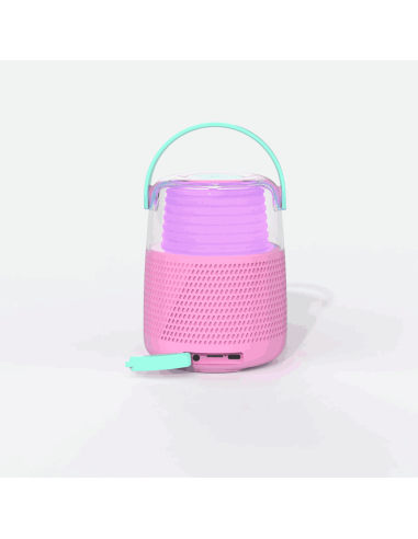 Enceinte et Karaoké Rose - Mobility On Board