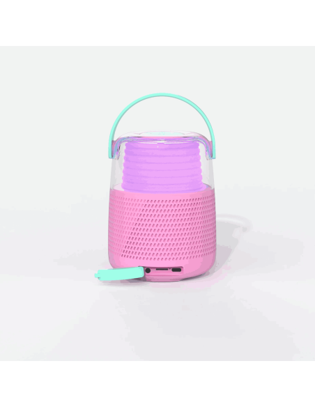 Enceinte et Karaoké Rose - Mobility On Board