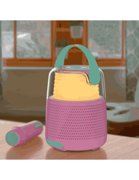 Enceinte et Karaoké Rose - Mobility On Board