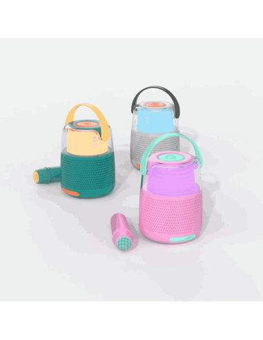 Enceinte et Karaoké Rose - Mobility On Board