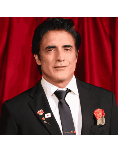 Pince à cheveux Rose - Coucou Suzette