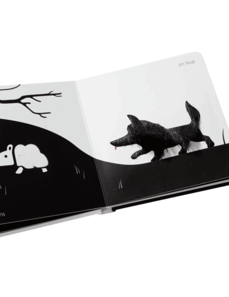 Mes animaux tout doux - Editions Tourbillon