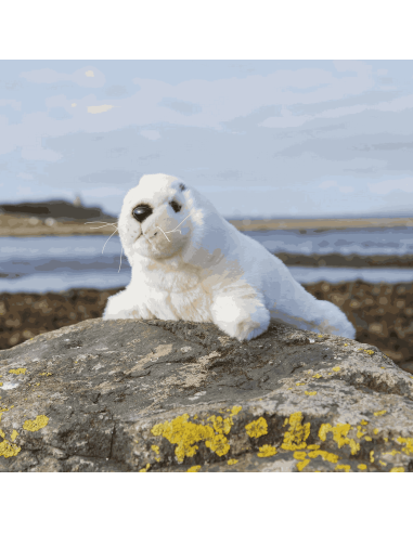 Peluche Phoque - Animigos