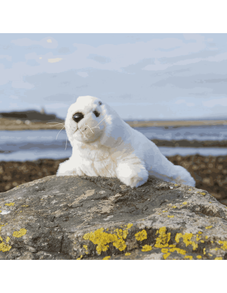 Peluche Phoque - Animigos