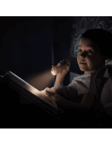 Lampe torche Ours - Little L