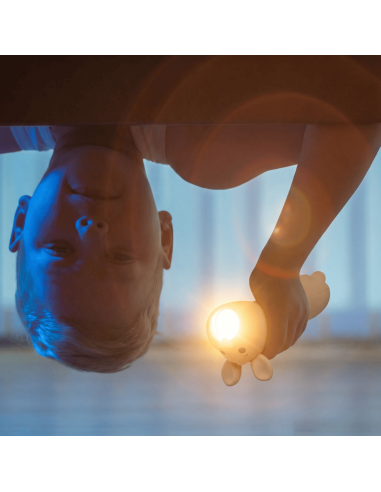 Lampe torche Lapin - Little L