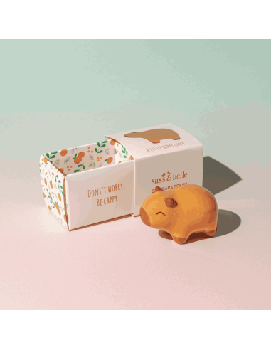 Mini grigri capybara - Sass & Belle