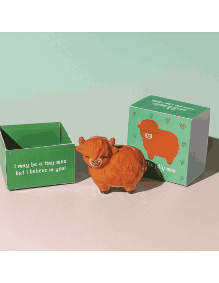 Mini grigri vache des Highlands - Sass & Belle