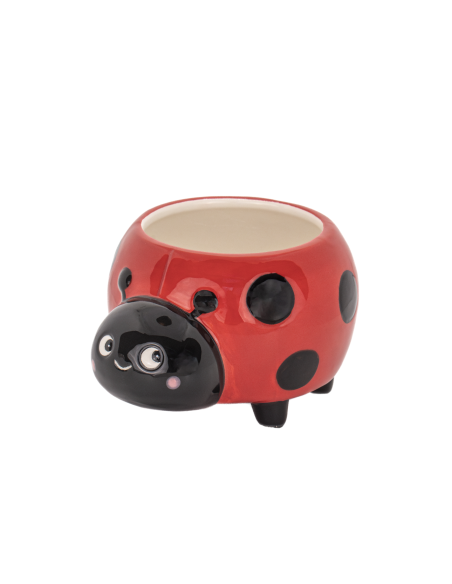 Mini pot pour plante Coccinelle - Sass & Belle
