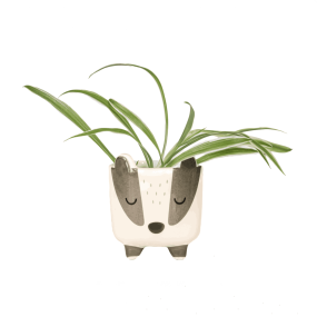 Mini pot pour plante Blaireau - Sass & Belle