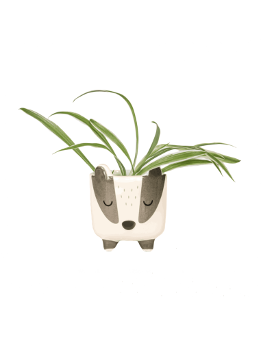 Mini pot pour plante Blaireau - Sass & Belle