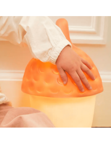 Lampe Veilleuse Gland rouge brique - Egmont Toys