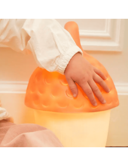 Lampe Veilleuse Gland rouge brique - Egmont Toys