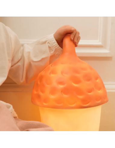 Lampe Veilleuse Gland rouge brique - Egmont Toys