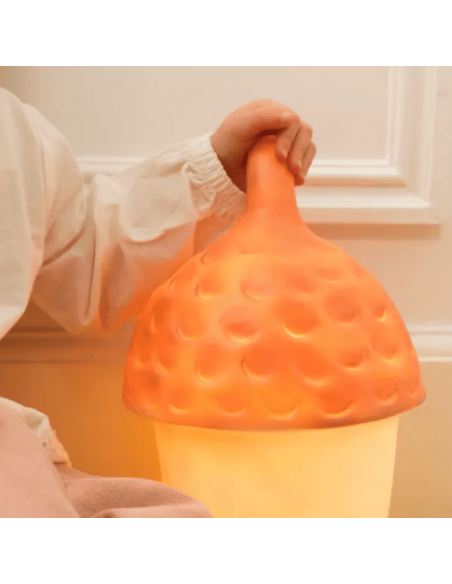 Lampe Veilleuse Gland rouge brique - Egmont Toys