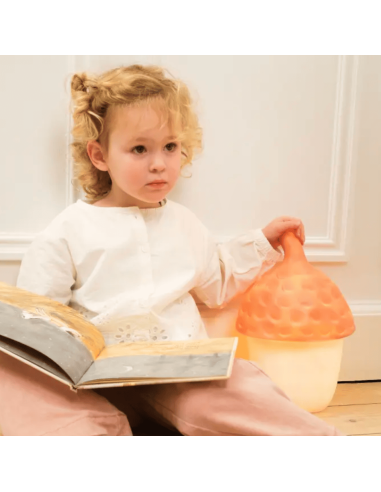 Lampe Veilleuse Gland rouge brique - Egmont Toys