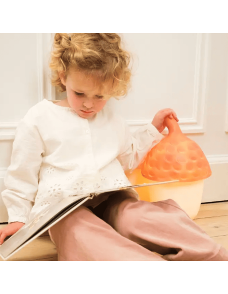 Lampe Veilleuse Gland rouge brique - Egmont Toys