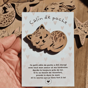 Câlin de poche Chat - Lilladrey 2