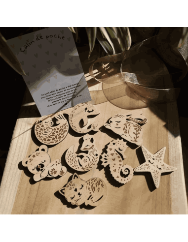 Câlin de poche Chat - Lilladrey