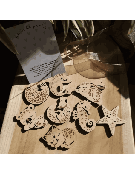 Câlin de poche Chat - Lilladrey