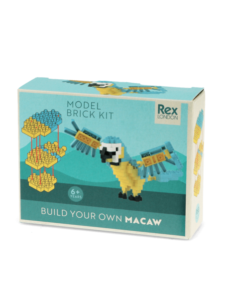 Mini briques Perroquet - Rex