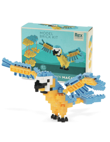 Mini briques Perroquet - Rex