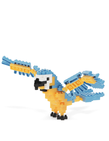 Mini briques Perroquet - Rex